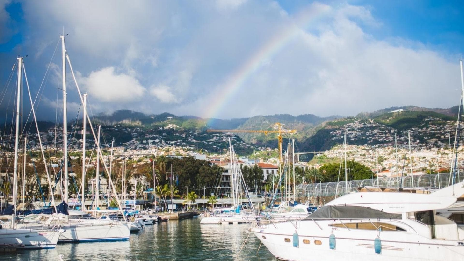 Madeira is Crazy Beautiful.